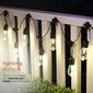 Alpine 10pc Vintage Edison Bulb String Lights w/ Timer & LEDs - image 5