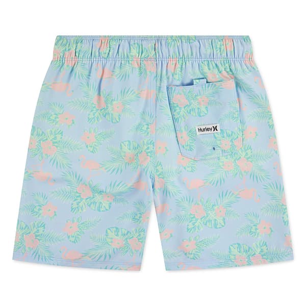 Boys (8-20) Hurley Flamingo Pull On Swim Trunks