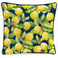 Jordan Manufacturing Lemons Outdoor Throw Pillow - image 1