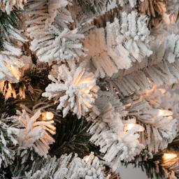 National Tree 6ft. Acacia Flocked Pre-Lit Christmas Tree