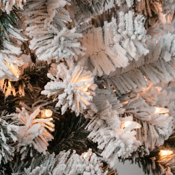 National Tree 6ft. Acacia Flocked Pre-Lit Christmas Tree
