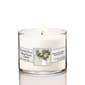 Courtside Market(R) 9.6oz. Eucalyptus Tumbler Candle - image 1