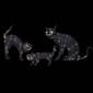 Northlight Seasonal Set of 3 LED Black Cat Outdoor Decor - image 3
