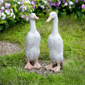 Northlight Ducks Outdoor Garden Statues, Set of 2 - image 1