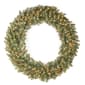 National Tree 48in. Pre-Lit LED Douglas(R) Fir Wreath - image 1
