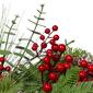 Northlight Seasonal 24in. Berries & Pinecones Christmas Wreath - image 2