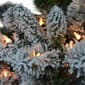 Puleo International 6ft. Pre-lit Flocked Virginia Pine Tree - image 2