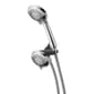 Peerless(R) 3 Setting Hand Shower Head - image 1