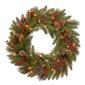 National Tree 24in. Bristle Berry Wreath - image 1