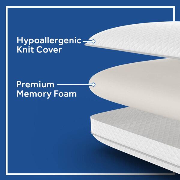 Sealy Memory Foam Pillow