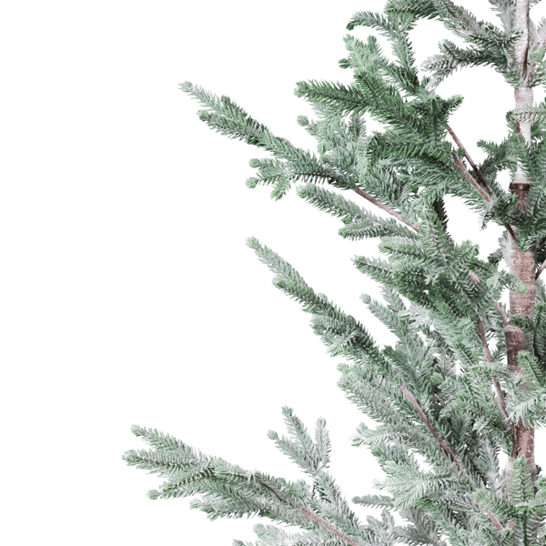 Northlight 5ft. Frosted Slim Pine Christmas Tree in Burlap Base - image 