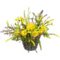 Northlight Seasonal Lemon & Daisy Spring Basket Wall Decor - image 1
