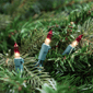 Northlight 20.25ft. Mini Clear with Red Tips Christmas Light Set - image 2