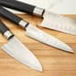 BergHOFF DiNA Codon 4.5in. Stainless Steel Santoku Knife - image 4