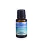 Airome Escape to Paradise Fragrance Oil - 15ml - image 1