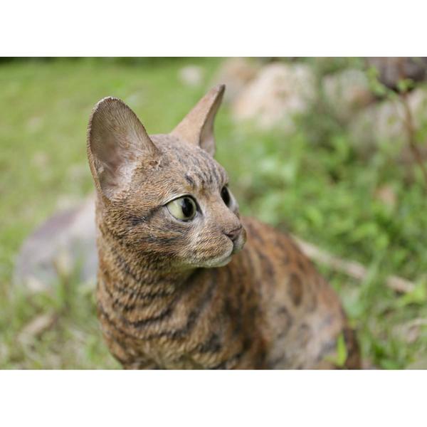 Hi-Line Gift Sitting Bengal Cat Garden Statue