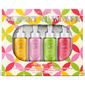 NatureWell 4pk. Sunshine Glaze Body Oil Set - image 1