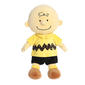Peanuts™ 13in. Charlie Brown - image 6