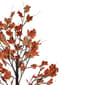 Northlight Seasonal 6ft. LED  Autumn Harvest Maple Leaf Tree - image 3