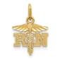 Unisex Gold Classics&#40;tm&#41; 14kt. Diamond Cut Polished RN Nurse Charm - image 1