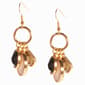 Ashley Cooper(tm) Faceted & Polished Stone Cluster Drop Earrings - image 1