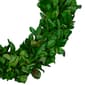 Northlight Seasonal Preserved Leaf Spring Garden Wreath - image 3
