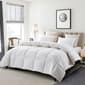 Serta(R) 233 Thread Count Goose Feather Down Fiber Warm Comforter - image 1