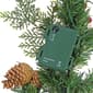 National Tree 6ft. Mixed Tip Garland w/ 30 Warm White LED Lights - image 5