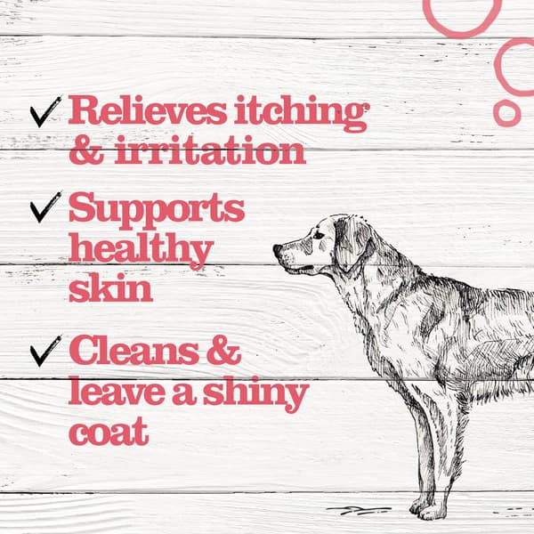 Dr. Pol Anti-Itch Shampoo for Dogs and Cats