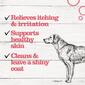 Dr. Pol Anti-Itch Shampoo for Dogs and Cats - image 4