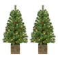 Puleo International 2pc. Pre-Lit Adorned Christmas Trees - image 6
