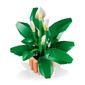 LEGO® Botanicals Peace Lily Building Kit - image 6