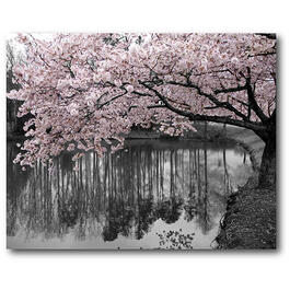 Courtside Market Pink Springblooms I Wall Art