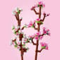 Product thumbnail image