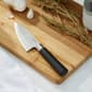 BergHOFF DiNA Codon 4.5in. Stainless Steel Santoku Knife - image 2