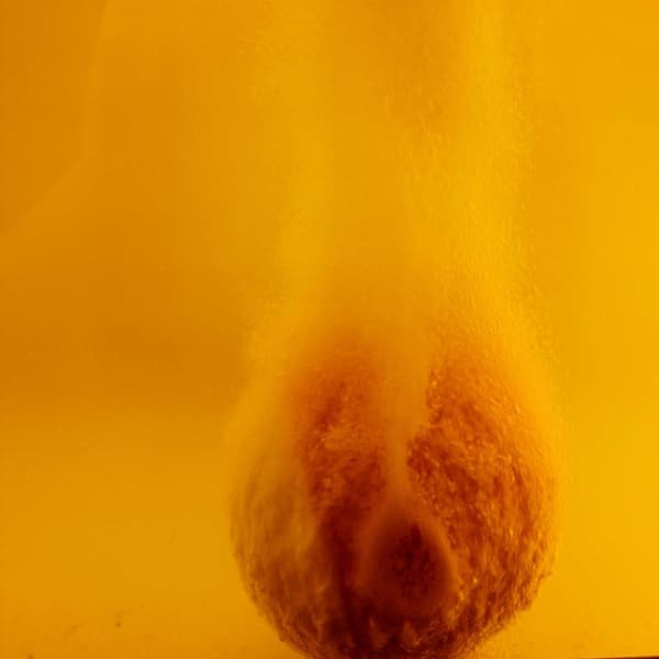 Cosset Kalahari Melon Uplifting Bubble Bath Therapy Bomb&#174;