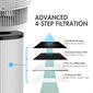 Tenergy Renair Air Purifier - image 2