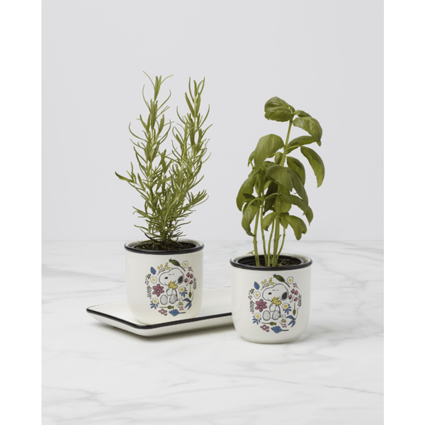Lenox® Chef Snoopy Herb Pots - Set Of 2
