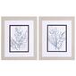 Propac Images&#40;R&#41; 2pc. Blue Stems Wall Art - image 1