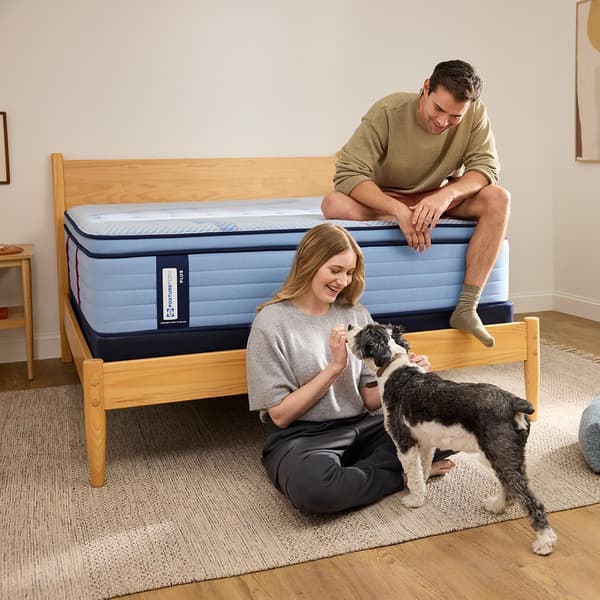 Sealy Posturepedic&#40;R&#41; Plus Plainfield Firm Pillow Top Mattress - image 