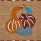 Hallmark Harvest Gourdy Outdoor Coir Doormat - image 3