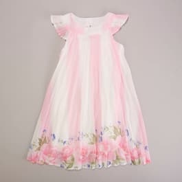 Girls &#40;4-6x&#41; Rare Editions Pleated Chiffon Dress w/Floral Border