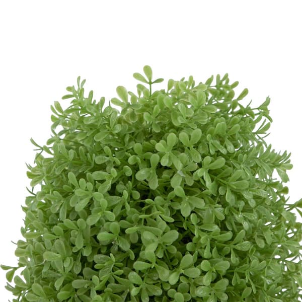 Northlight Seasonal 15in. Artificial Boxwood Cone Topiary Tree