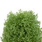 Northlight Seasonal 15in. Artificial Boxwood Cone Topiary Tree - image 3