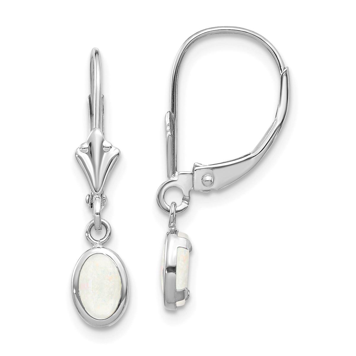 Gemstone Classics™ Opal Leverback Earrings