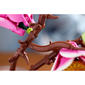 LEGO® Botanicals Magnolia Branches Building Kit - image 14