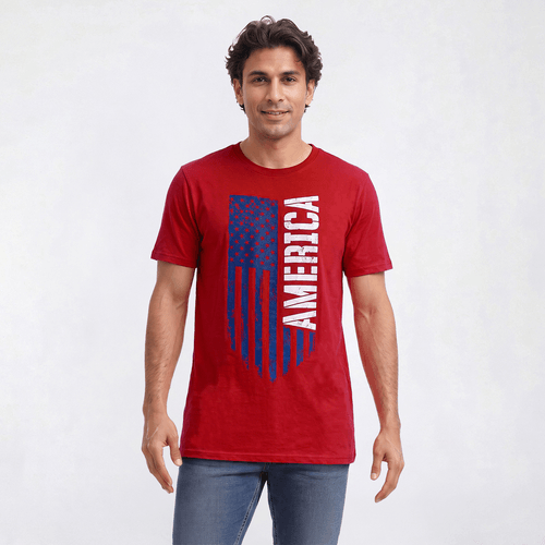 Mens Big & Tall Home of the Brave America Flag Graphic Tee - image 