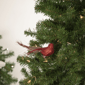 Northlight Bird with Feather Tail Christmas Clip Ornament - image 2