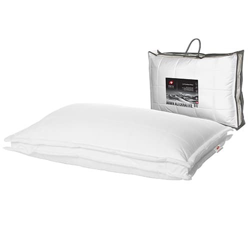 Swiss Comforts Cotton Loft Quilted Pillow