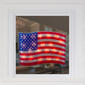 Northlight Seasonal 17in. Holographic Flag Window Silhouette - image 3
